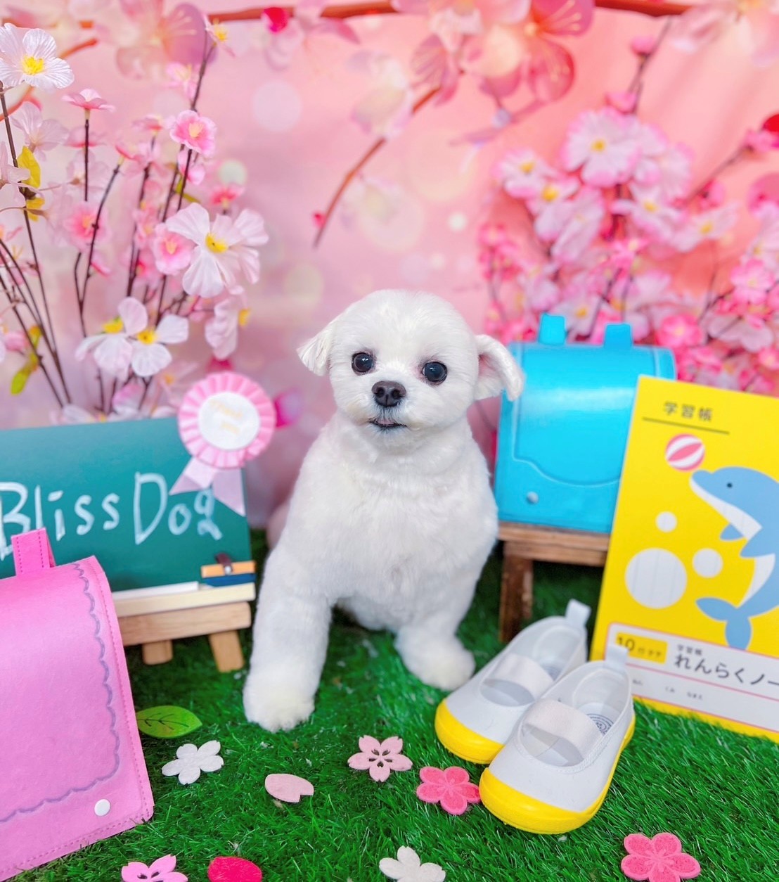 今月のお写真 1