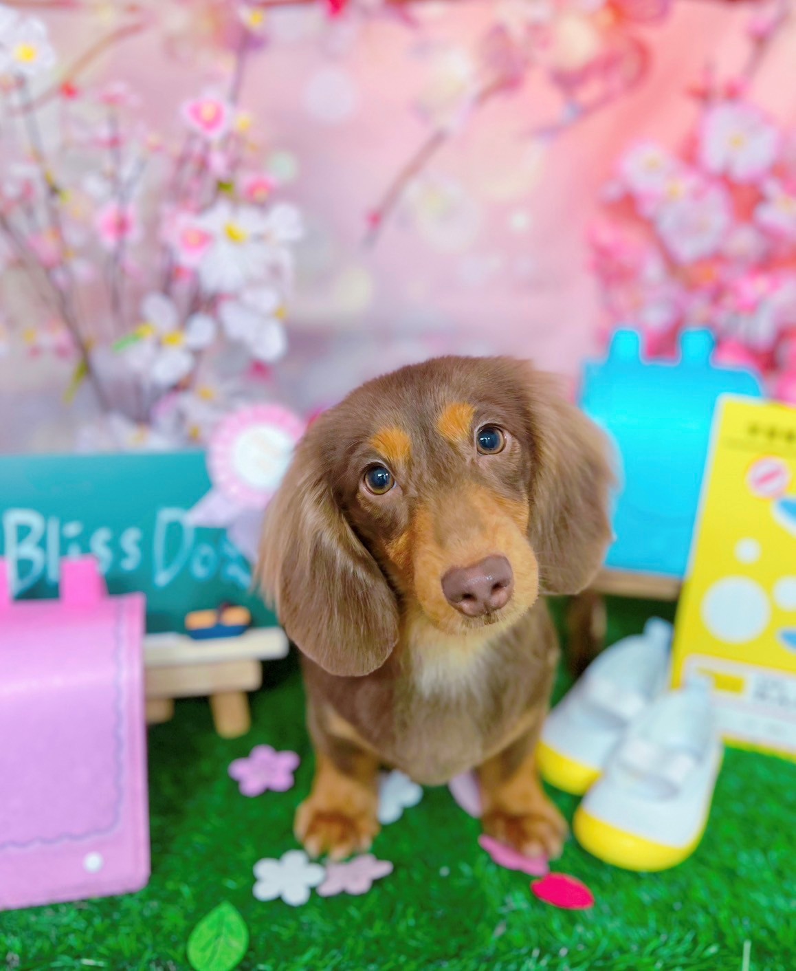 今月のお写真 2