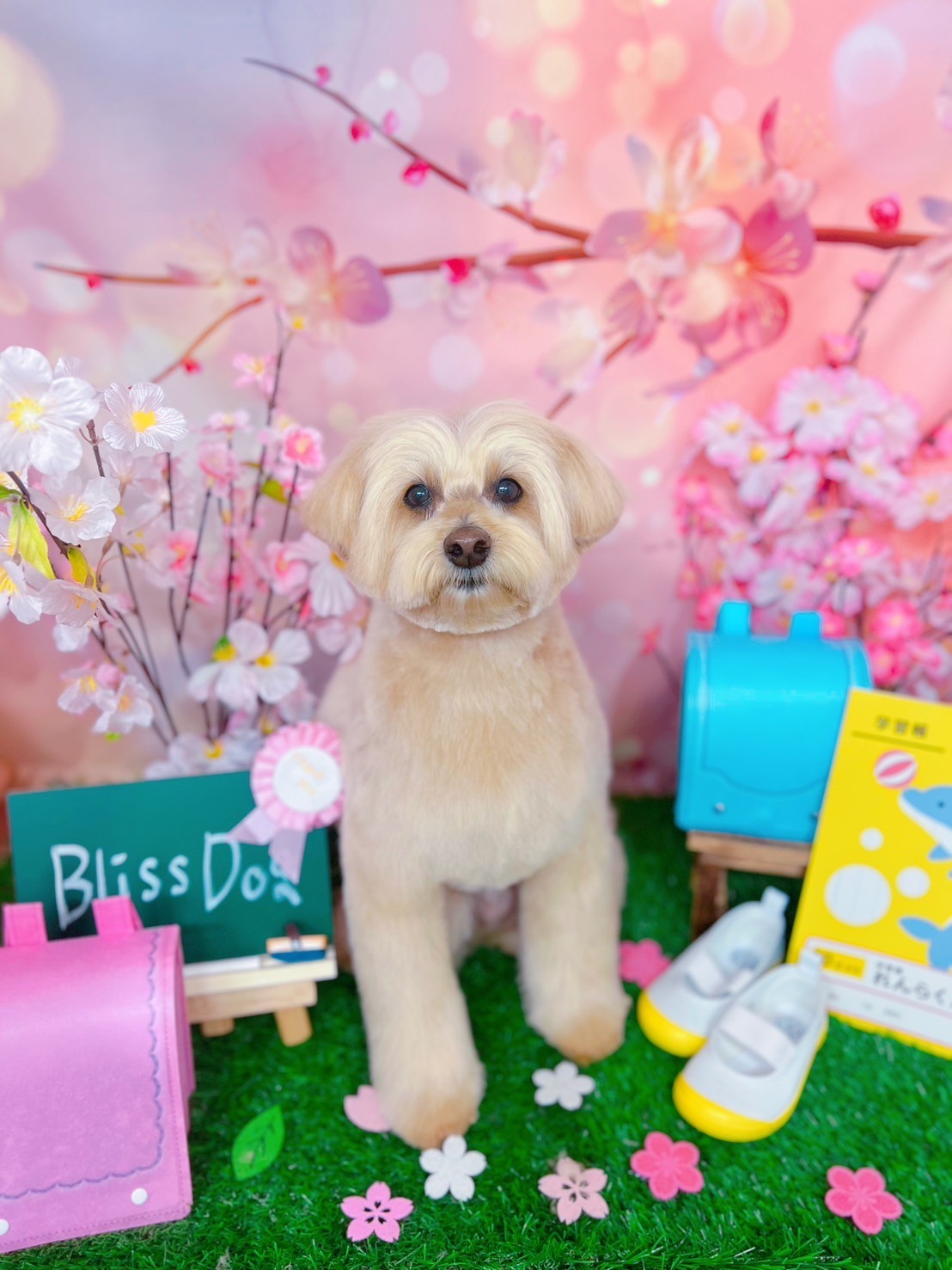 今月のお写真 3